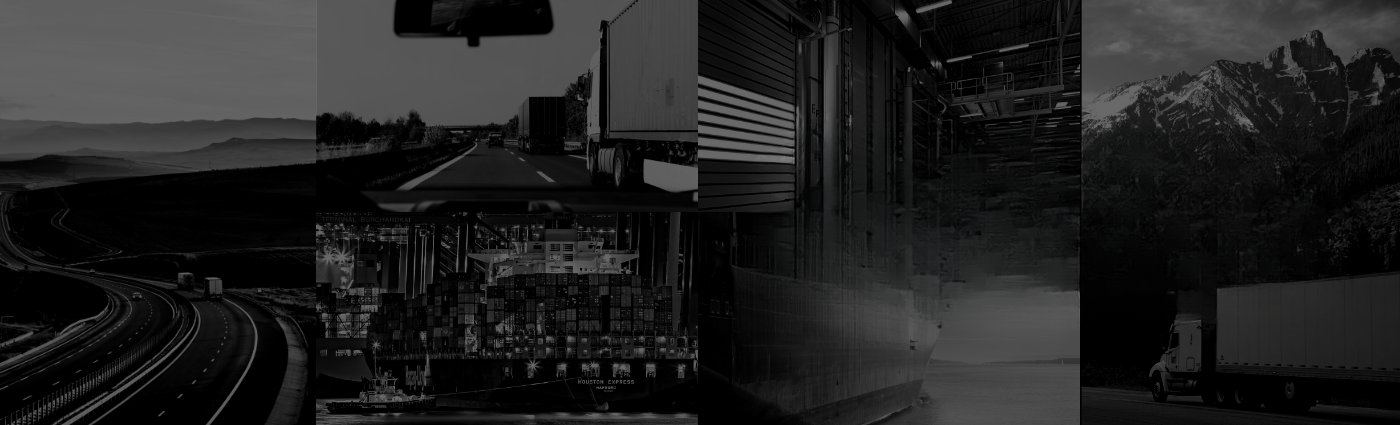SNS Logistics delivery vehicle and team ready for medical courier service
